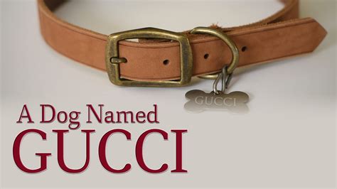 a dog named gucci movie|Gucci keyring dog.